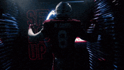 College Football GIF by gamecocksonline