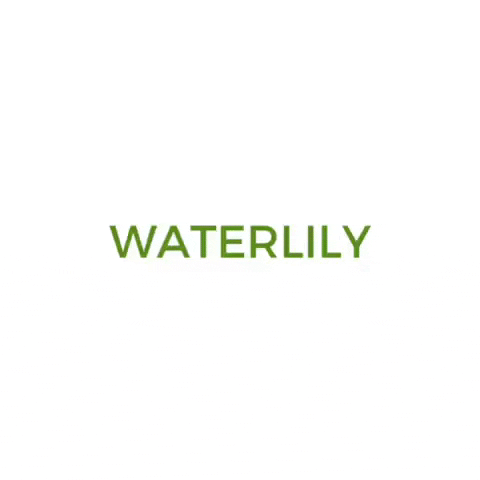 WaterlilyAus giphyupload skincare waterlily waterlily logo GIF