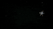 Sea Crab GIF by PBS Digital Studios