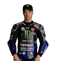 Franco Morbidelli Win Sticker by MotoGP