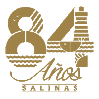 Salinasec Sticker by Alcaldía Salinas