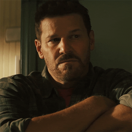 Sealteam Davidboreanaz GIF by Paramount+
