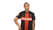 Bayer 04 Wow Sticker by Bundesliga