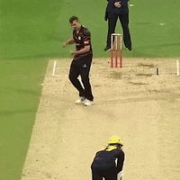 SomersetCountyCC celebration 2022 somerset county cricket club vitality blast GIF