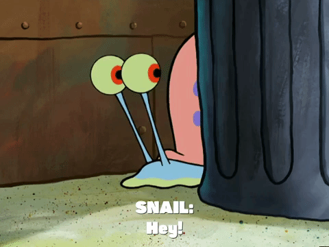 season 4 episode 3 GIF by SpongeBob SquarePants