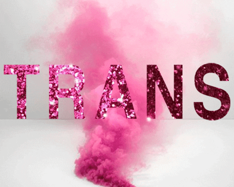 Trans Day Of Visibility Pink GIF by Jess Mac