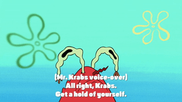 season 9 lost in bikini bottom GIF by SpongeBob SquarePants