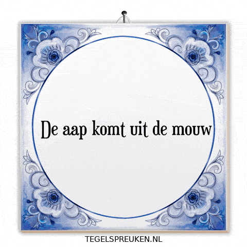 Nl Spanning GIF by Tegelspreuken.nl