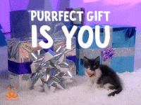 Adopt Best Friends GIF by Best Friends Animal Society