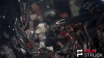 classic film hello GIF by FilmStruck