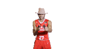Liga Endesa Basketball Sticker by ACB