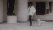 ouionestudio poodle fashion walk oui one oui one studio GIF