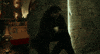 john wick lionsgate GIF by John Wick: Chapter 2