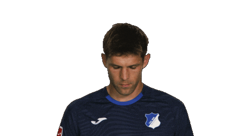 Look Up Tsg Hoffenheim Sticker by Bundesliga