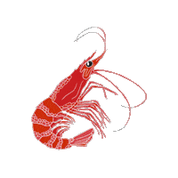 Under The Sea Logo Sticker by DEICHBRAND Festival