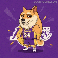 Posing Los Angeles Lakers GIF by Doge Pound