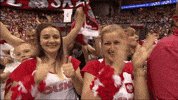 Happy Celebration GIF by Volleyball World