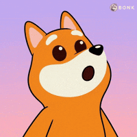 Excitement Wonder GIF by BONK