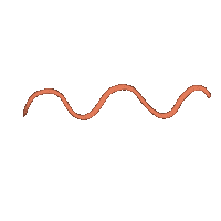 Wave Squiggle Sticker by Thirsty For Art