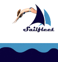 sailfleet summer vibe yacht sail Sticker