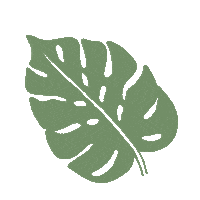 plant leaf Sticker