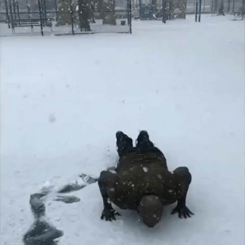 Nor'easter Won't Stop This Man From Getting His Workout In