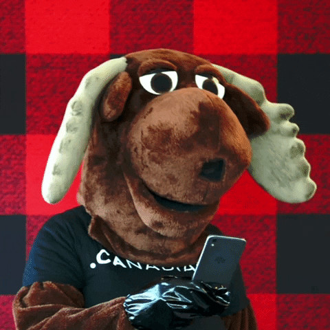 Canadian Whatever GIF by choose.ca