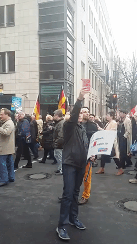 Thousands Chant 'Merkel Must Go' in Berlin Anti-Immigrant Rally