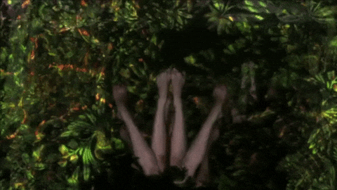 video art artist GIF by Caitlin Craggs
