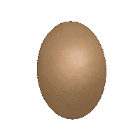 aykimkio food chicken egg eggs Sticker