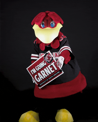 Sc GIF by University of South Carolina
