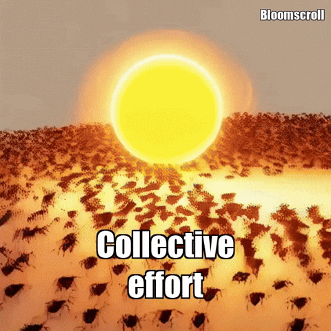 Teamwork Wisdom GIF by Bloomscroll