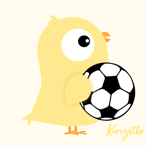 Soccer Chicken GIF by Kurczatko