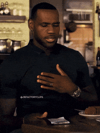 Lebron James Seriously GIF