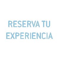 Piloto Aire Sticker by VirtualFly