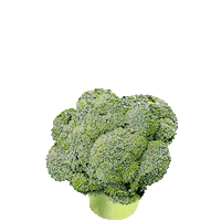 Comida Broccoli Sticker by MohoAnimation