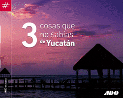 tuadomx mexico viajes cancun yucatan GIF