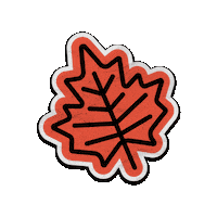 Maple Leaf Sticker by TextNow