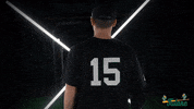 Tulane Rollwave GIF by GreenWave