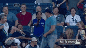 GIF by MLB