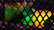color fence GIF by The NGB