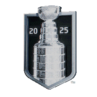 Happy Ice Hockey Sticker by NHL