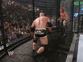 wwe sports wwe wrestling summerslam GIF