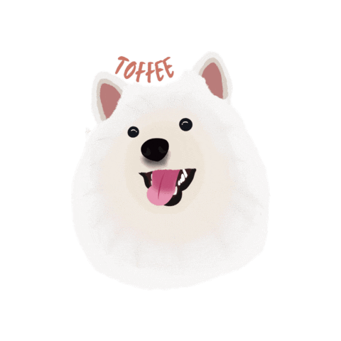 Pomeranian Appa Sticker