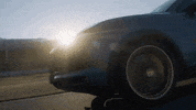 GIF by Elastic Group AU