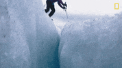 Nat Geo Winter GIF by National Geographic Channel