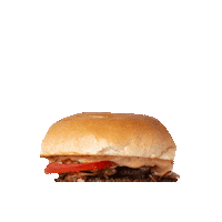 doppeltkaese burger berlin hamburger cheeseburger Sticker