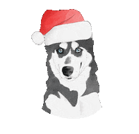 Happy New Year Sticker