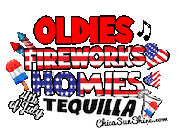 Get Down Election Sticker by ChicaSunshineShop