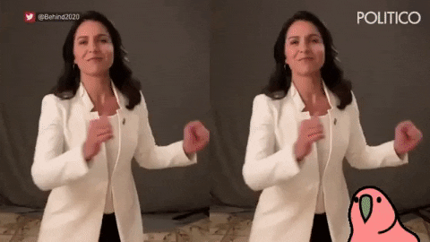 eringraceburns giphygifmaker giphyattribution dancing tulsi gabbard GIF